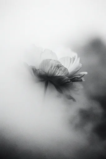 Monochrome Atmospheric Minimalism style reference image — desolate silhouette