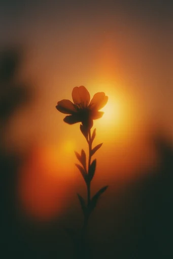 Ethereal Amber Minimalism style reference image — hazy atmospheric depth