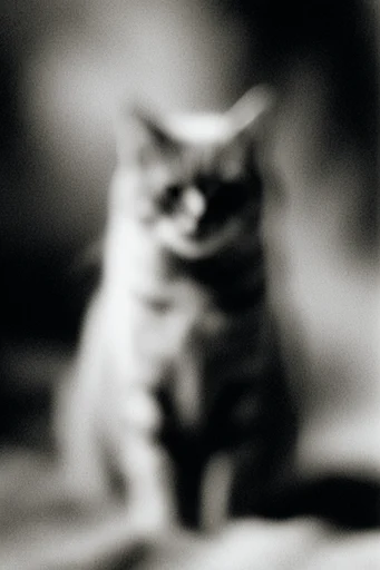 Ethereal Noir Kineticism style reference image — tactile noise texture