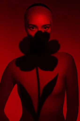 Cinematic Neon Noir style reference image — minimalist fashion photography