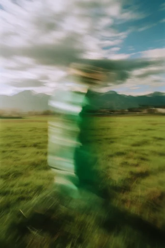 Ethereal Kinetic Impressionism style reference image — intentional camera movement