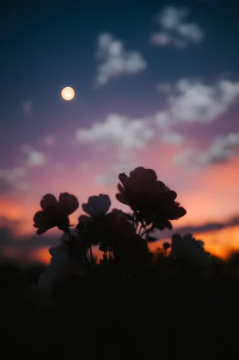 Celestial Dream Surrealism style reference image — dreamy atmosphere