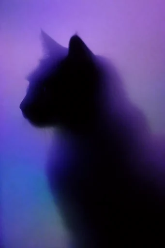 Luminous Spectral Haze style reference image — mysterious silhouette