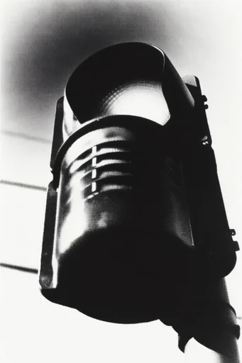 Visceral Monochrome Macro style reference image — extreme macro photography