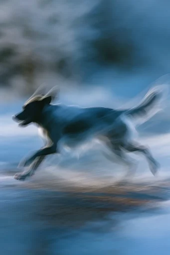 Ethereal Blue Motion style reference image — atmospheric abstraction