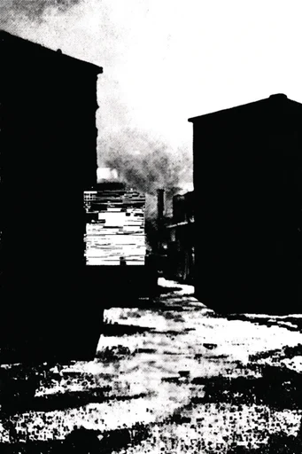 Gritty Monochromatic Zine style reference image — high-contrast monochrome