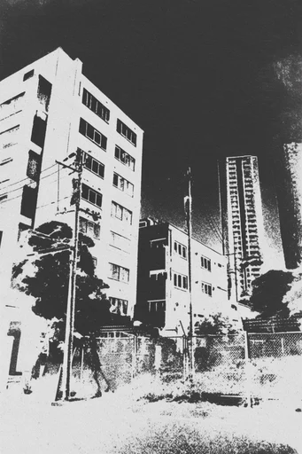 Raw Post-Punk Minimalism style reference image — high-contrast monochrome