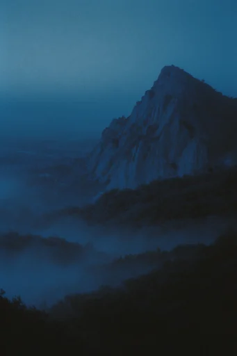 Nocturnal Pictorialist Mist style reference image — monochromatic indigo