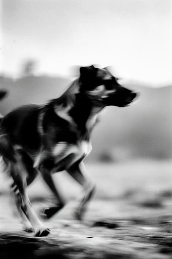 Kinetic Spectral Noir style reference image — dynamic abstraction
