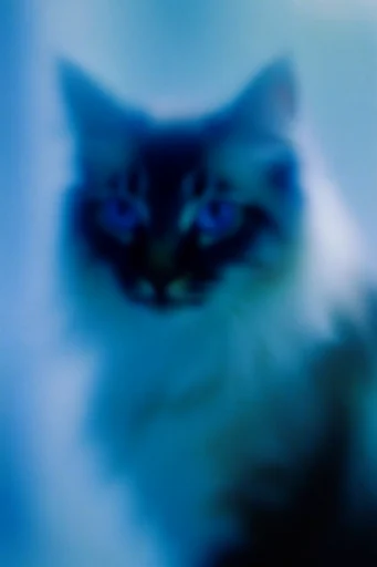 Monochromatic Ethereal Blur style reference image — dreamlike diffusion