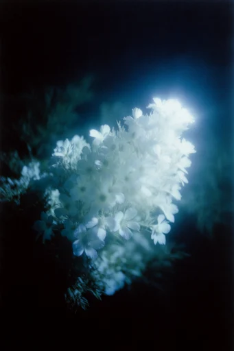 Spectral Nocturnal Noir style reference image — high contrast chiaroscuro