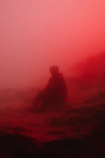 Monochromatic Crimson Noir moodboard — generate AI images in this style