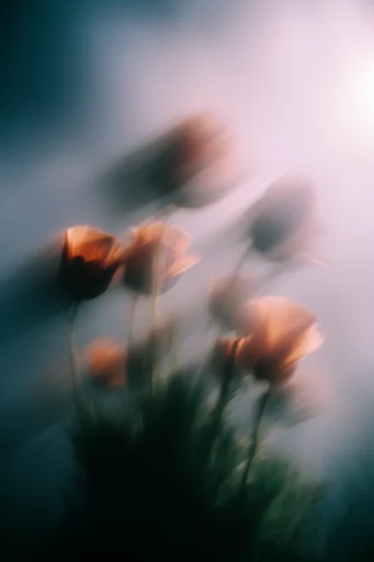 Ethereal Kinetic Luminescence style reference image — intentional camera movement