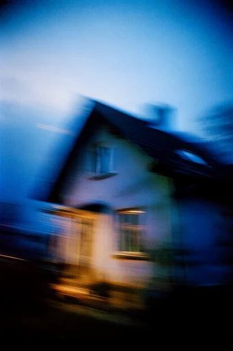 Cinematic Nocturnal Blur style reference image — nocturnal atmosphere