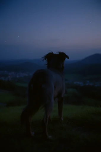 Ethereal Nocturnal Blue style reference image — dreamy motion blur