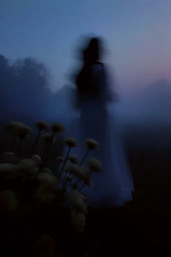 Cinematic Twilight Melancholy style reference image — deep indigo tones