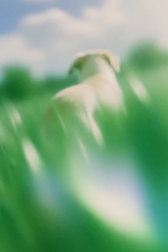 Atmospheric Grainy Abstraction style reference image — analog noise