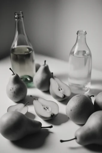 Tactile Monochrome Noir style reference image — high-contrast monochrome