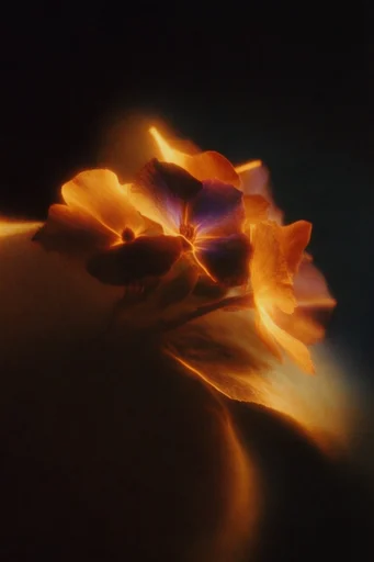 Cinematic Nocturnal Chiaroscuro style reference image — nocturnal atmosphere