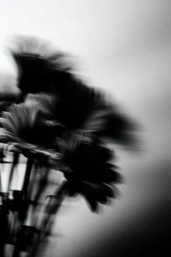 Kinetic Spectral Noir style reference image — haunting noir atmosphere