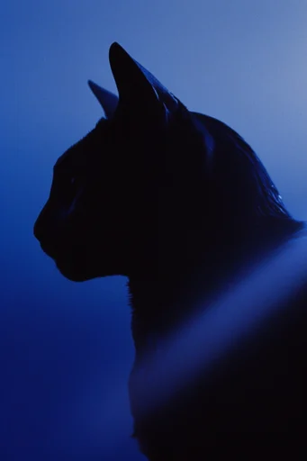 Cinematic Neon Noir style reference image — high-contrast silhouette