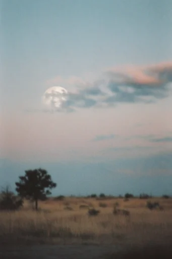 Ethereal Analog Haze style reference image — soft focus haze