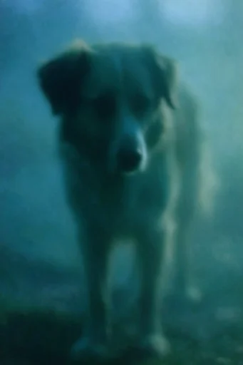 Ethereal Nocturnal Haze style reference image — liminal atmosphere