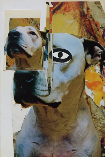 Deconstructed Analog Surrealism style reference image — retro color palette