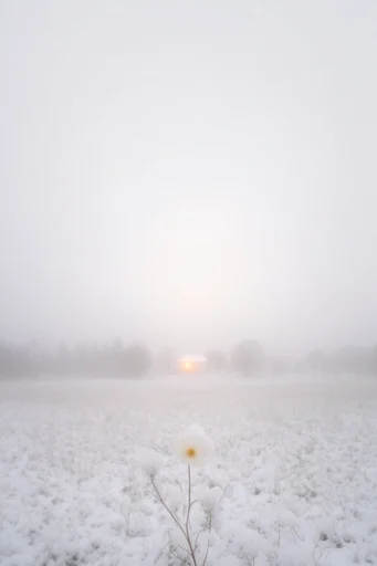 Ethereal Nordic Solitude style reference image — vast negative space
