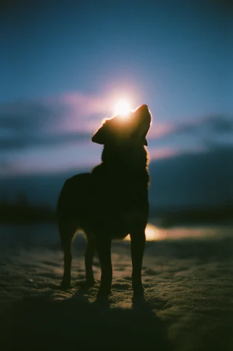 Ethereal Nocturnal Luminance style reference image — low-angle perspective