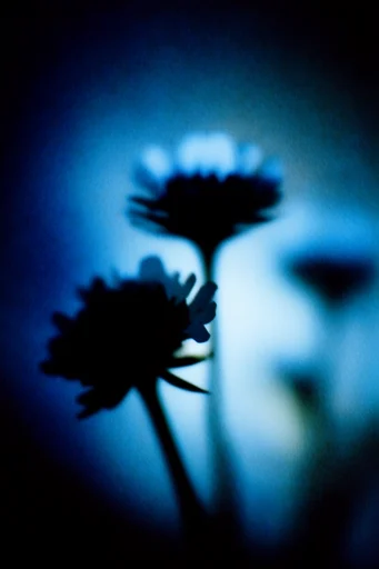 Spectral Cobalt Nocturne style reference image — high-contrast noir lighting