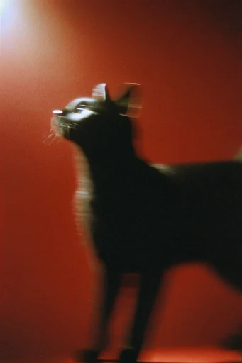 Crimson Cinematic Surrealism style reference image — soft focus