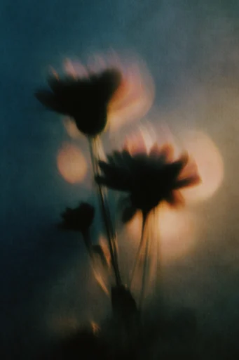 Spectral Twilight Noir style reference image — ethereal soft focus