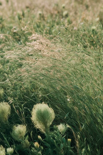Tactile Organic Wilderness style reference image — vintage film grain