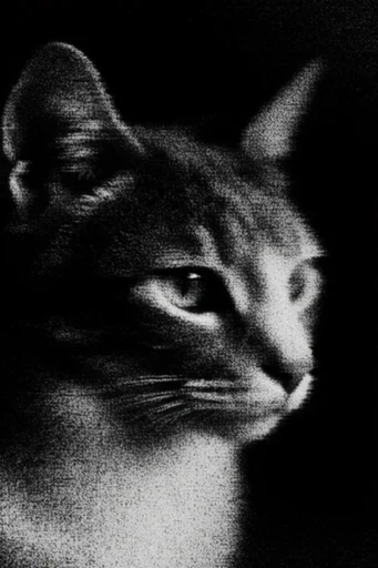 Analog Glitch Noir style reference image — halftone pattern