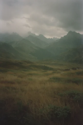 Misty Pastoral Melancholy style reference image — overcast diffused lighting