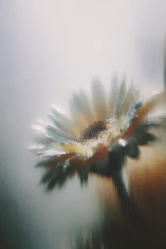 Ethereal Spectral Blur style reference image — ghostly silhouette