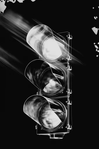 Monochromatic Avant-Garde Noir style reference image — experimental photogram
