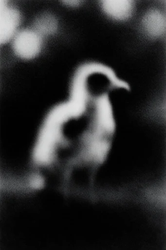 Ethereal Noir Kineticism style AI image example 3