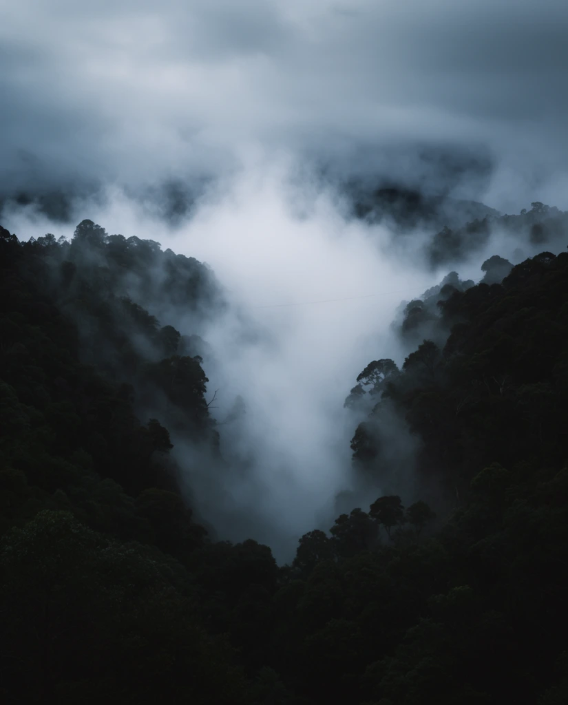 dark forested mountain valley engulfed in thick rolling fog, heavy white clouds filling a deep chasm, dark green and black tree canopies forming rugged silhouettes against luminous mist, faint thin wire stretching across the hazy gap, overcast grey sky blending into the vapor, moody atmospheric landscape photography, cool muted tones, low key lighting, stark contrast between dense dark terrain and ethereal bright fog, wide angle perspective