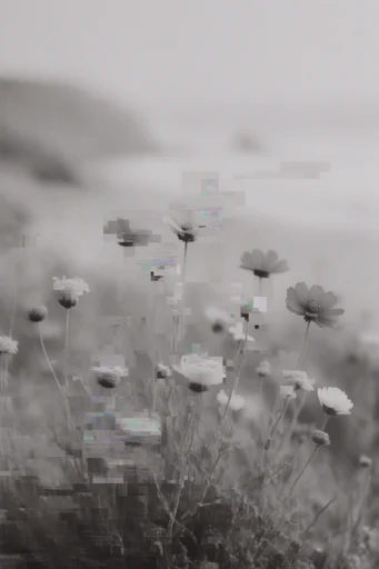 Disintegrated Monochrome Glitch style reference image — high contrast
