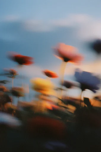 Nocturnal Kinetic Nostalgia style reference image — dreamy soft focus