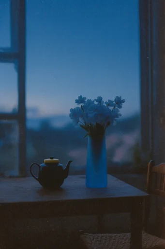 Cinematic Twilight Melancholy style reference image — analog film grain