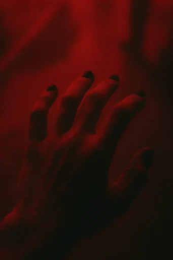 Nocturnal Crimson Infrared style reference image — heavy analog film grain