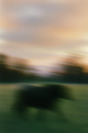 Ethereal Nostalgic Abstraction style reference image — heavy film grain