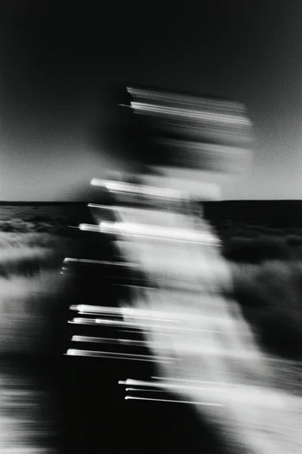 Kinetic Spectral Monochrome style reference image — high contrast black and white