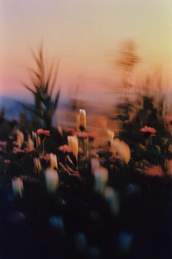 Ethereal Twilight Motion style reference image — long exposure light trails