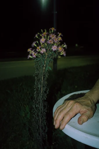 Cinematic Nocturnal Liminality style reference image — desaturated cool tones