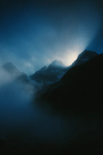 Ethereal Nocturnal Cyanotype style reference image — nocturnal cyanotype