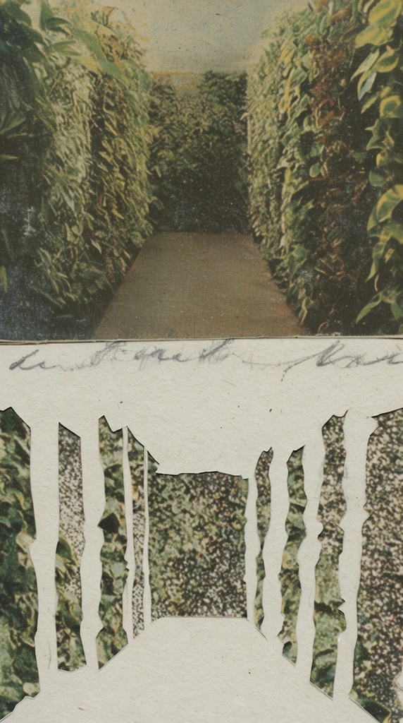 A horizontal split-composition mixed-media collage featuring a hallway with walls entirely formed by dense plants. The top panel presents a vintage, low-fidelity printed photograph of the foliage-lined corridor, defined by prominent halftone print artifacts, heavy paper grain, and a desaturated color palette of faded olive greens, earthy browns, and murky shadows. A single line of cursive, smudged graphite handwriting runs horizontally across the center, dividing the two sections. The bottom panel consists of thick, fibrous, off-white handmade paper interrupted by sharp, negative-space cutouts that mirror the exact architectural perspective and silhouette of the plant-walled hallway. These cutout voids reveal a contrasting, underlying layer of densely patterned photographic textures resembling macro foliage and speckled grit. The overall aesthetic is highly tactile and analog, evoking a retro, DIY zine with raw, distinct layers, matte paper finishes, and strong graphic silhouettes.